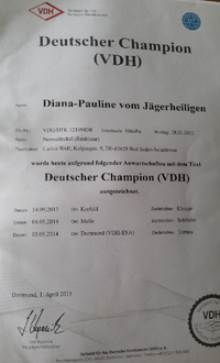 Deutscher Champion